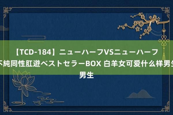 【TCD-184】ニューハーフVSニューハーフ 不純同性肛遊ベストセラーBOX 白羊女可爱什么样男生