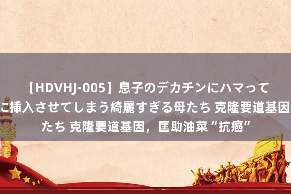 【HDVHJ-005】息子のデカチンにハマってしまい毎日のように挿入させてしまう綺麗すぎる母たち 克隆要道基因，匡助油菜“抗癌”