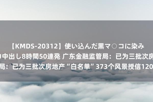 【KMDS-20312】使い込んだ黒マ○コに染み渡る息子の精液ドロドロ中出し8時間50連発 广东金融监管局：已为三批次房地产“白名单”373个风景授信1206.11亿元