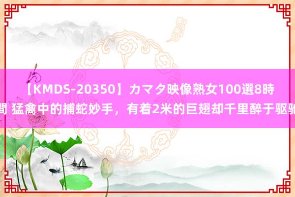 【KMDS-20350】カマタ映像熟女100選8時間 猛禽中的捕蛇妙手，有着2米的巨翅却千里醉于驱驰