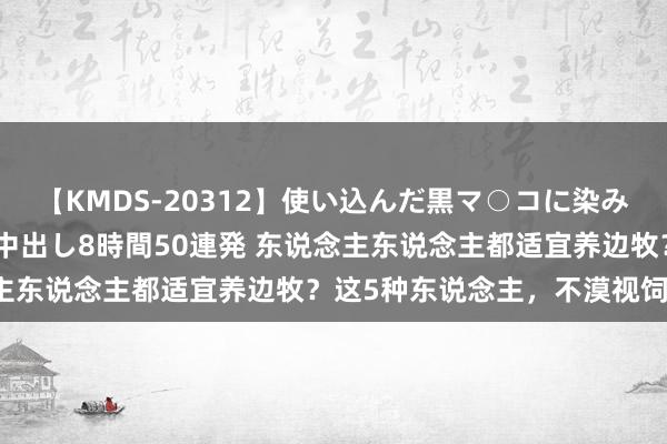 【KMDS-20312】使い込んだ黒マ○コに染み渡る息子の精液ドロドロ中出し8時間50連発 东说念主东说念主都适宜养边牧？这5种东说念主，不漠视饲养！