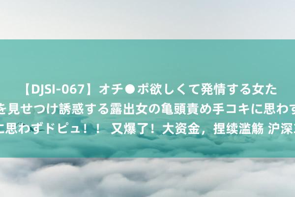 【DJSI-067】オチ●ポ欲しくて発情する女たち ところ構わずオマ●コを見せつけ誘惑する露出女の亀頭責め手コキに思わずドピュ！！ 又爆了！大资金，捏续滥觞 沪深300ETF吸金近60亿