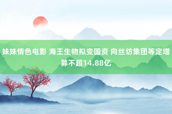 妹妹情色电影 海王生物拟变国资 向丝纺集团等定增募不超14.88亿