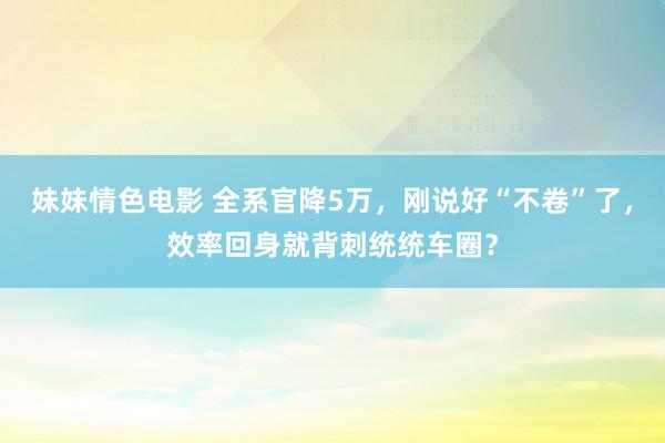 妹妹情色电影 全系官降5万，刚说好“不卷”了，效率回身就背刺统统车圈？