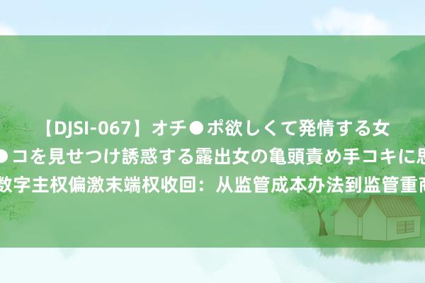 【DJSI-067】オチ●ポ欲しくて発情する女たち ところ構わずオマ●コを見せつけ誘惑する露出女の亀頭責め手コキに思わずドピュ！！ 数字主权偏激末端权收回：从监管成本办法到监管重商办法的欧盟齐集安全政策｜国政学东说念主