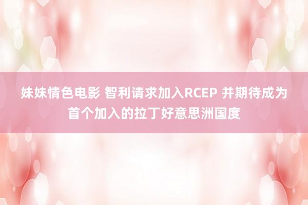 妹妹情色电影 智利请求加入RCEP 并期待成为首个加入的拉丁好意思洲国度