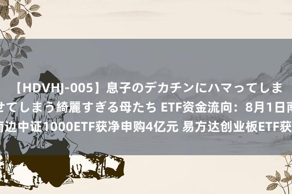 【HDVHJ-005】息子のデカチンにハマってしまい毎日のように挿入させてしまう綺麗すぎる母たち ETF资金流向：8月1日南边中证1000ETF获净申购4亿元 易方达创业板ETF获净申购3.6亿元（附图）