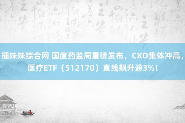 插妹妹综合网 国度药监局重磅发布，CXO集体冲高，医疗ETF（512170）直线飙升逾3%！