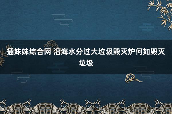 插妹妹综合网 沿海水分过大垃圾毁灭炉何如毁灭垃圾