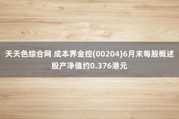 天天色综合网 成本界金控(00204)6月末每股概述股产净值约0.376港元