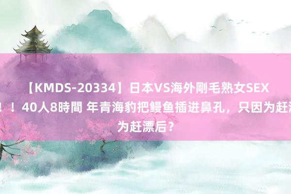 【KMDS-20334】日本VS海外剛毛熟女SEX対決！！40人8時間 年青海豹把鳗鱼插进鼻孔，只因为赶漂后？