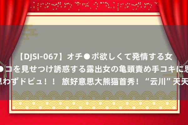 【DJSI-067】オチ●ポ欲しくて発情する女たち ところ構わずオマ●コを見せつけ誘惑する露出女の亀頭責め手コキに思わずドピュ！！ 旅好意思大熊猫首秀！“云川”天天健身，“鑫宝”更爱日光浴