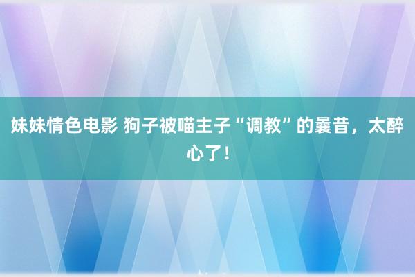 妹妹情色电影 狗子被喵主子“调教”的曩昔，太醉心了！