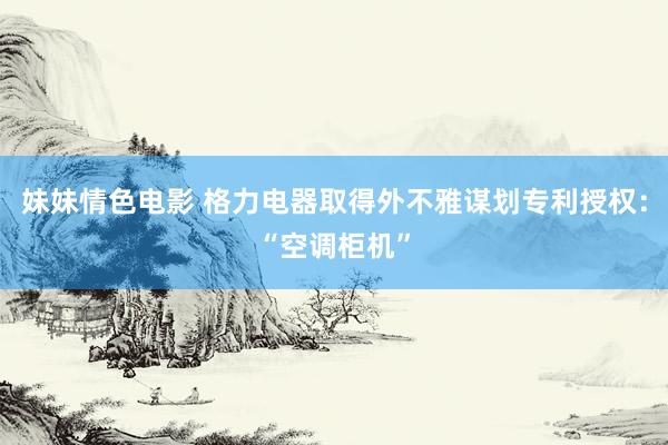 妹妹情色电影 格力电器取得外不雅谋划专利授权：“空调柜机”