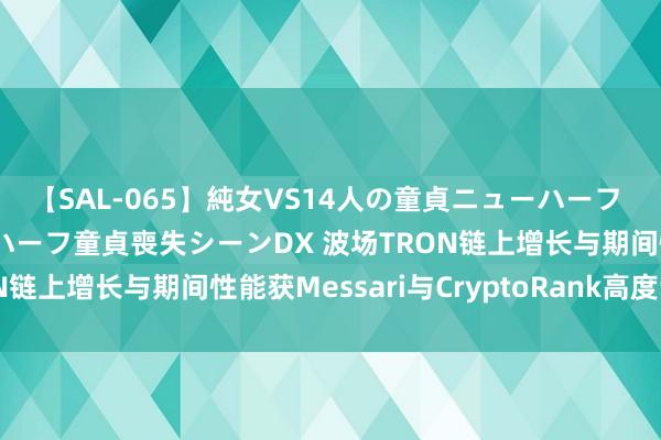 【SAL-065】純女VS14人の童貞ニューハーフ 二度と見れないニューハーフ童貞喪失シーンDX 波场TRON链上增长与期间性能获Messari与CryptoRank高度评价