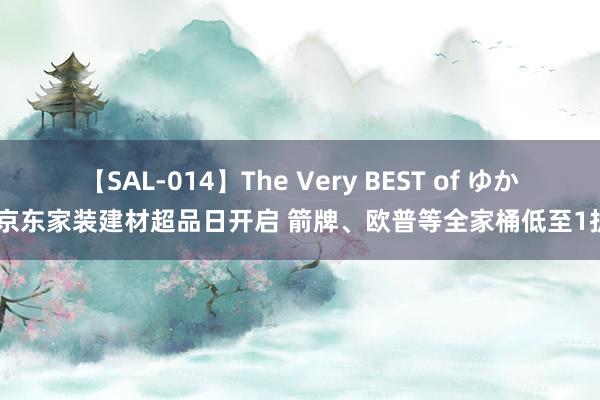 【SAL-014】The Very BEST of ゆか 京东家装建材超品日开启 箭牌、欧普等全家桶低至1折