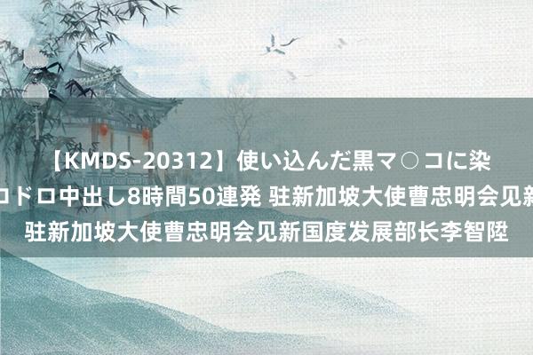 【KMDS-20312】使い込んだ黒マ○コに染み渡る息子の精液ドロドロ中出し8時間50連発 驻新加坡大使曹忠明会见新国度发展部长李智陞