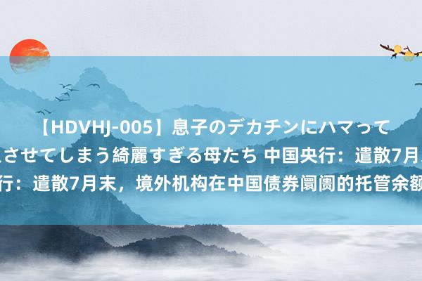 【HDVHJ-005】息子のデカチンにハマってしまい毎日のように挿入させてしまう綺麗すぎる母たち 中国央行：遣散7月末，境外机构在中国债券阛阓的托管余额4.50万亿元