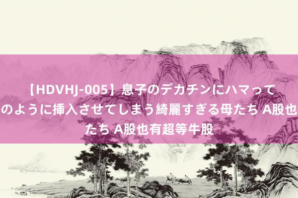 【HDVHJ-005】息子のデカチンにハマってしまい毎日のように挿入させてしまう綺麗すぎる母たち A股也有超等牛股