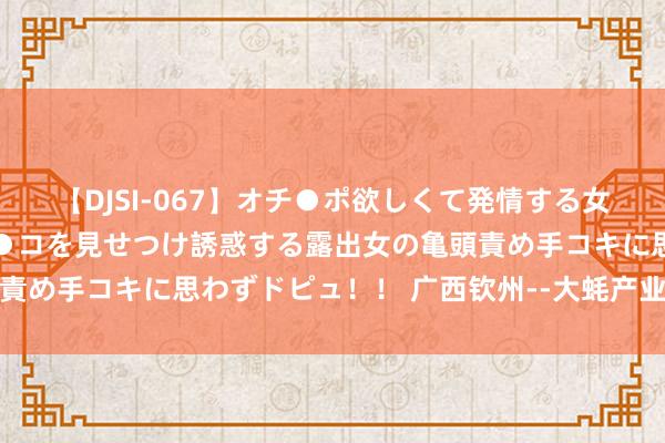 【DJSI-067】オチ●ポ欲しくて発情する女たち ところ構わずオマ●コを見せつけ誘惑する露出女の亀頭責め手コキに思わずドピュ！！ 广西钦州--大蚝产业高质地发展