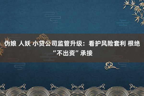 伪娘 人妖 小贷公司监管升级：看护风险套利 根绝“不出资”承接