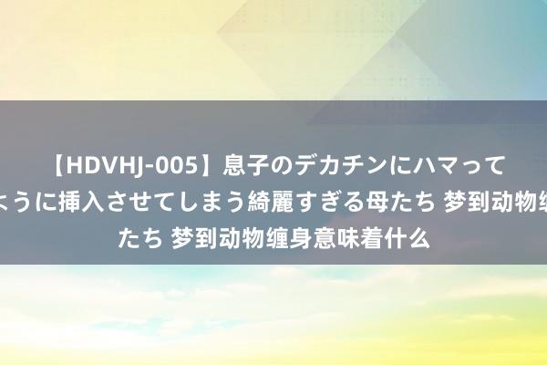 【HDVHJ-005】息子のデカチンにハマってしまい毎日のように挿入させてしまう綺麗すぎる母たち 梦到动物缠身意味着什么