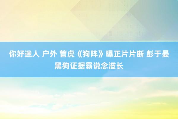 你好迷人 户外 管虎《狗阵》曝正片片断 彭于晏黑狗证据霸说念滋长