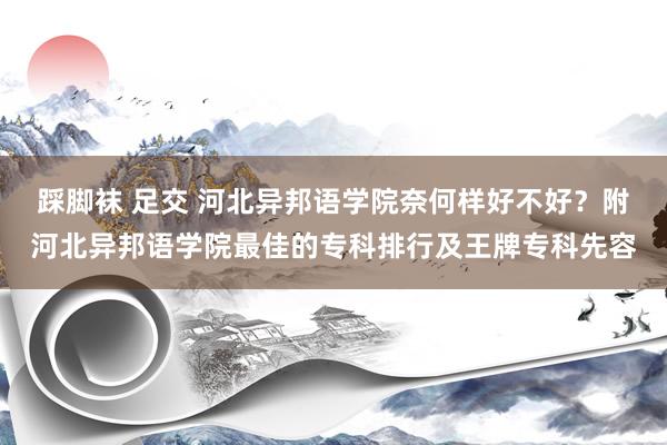 踩脚袜 足交 河北异邦语学院奈何样好不好？附河北异邦语学院最佳的专科排行及王牌专科先容