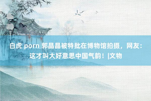 白虎 porn 郭晶晶被特批在博物馆拍摄，网友：这才叫大好意思中国气韵！|文物