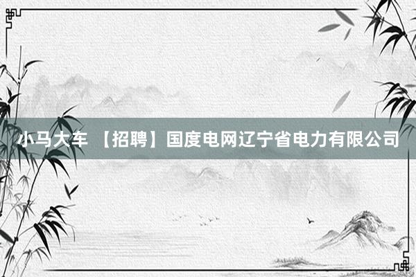 小马大车 【招聘】国度电网辽宁省电力有限公司