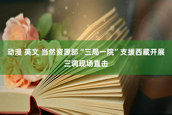 动漫 英文 当然资源部“三局一院”支援西藏开展三调现场直击