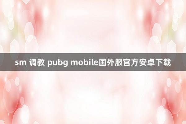 sm 调教 pubg mobile国外服官方安卓下载