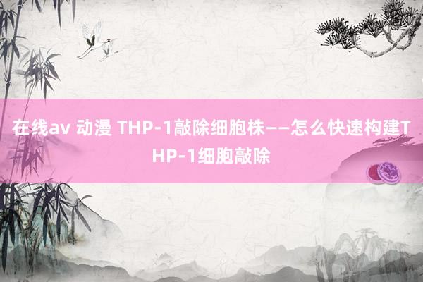 在线av 动漫 THP-1敲除细胞株——怎么快速构建THP-1细胞敲除