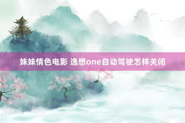 妹妹情色电影 逸想one自动驾驶怎样关闭