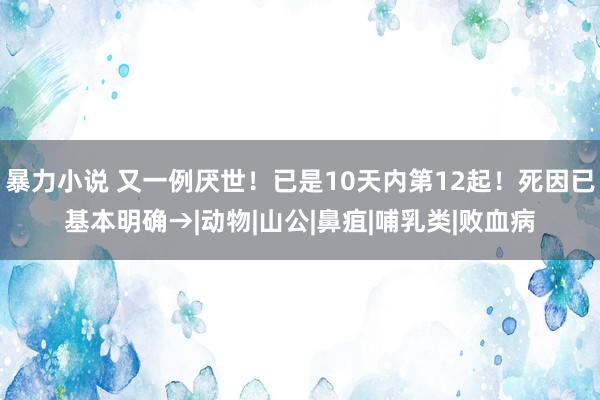 暴力小说 又一例厌世！已是10天内第12起！死因已基本明确→|动物|山公|鼻疽|哺乳类|败血病