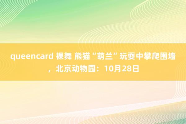 queencard 裸舞 熊猫“萌兰”玩耍中攀爬围墙，北京动物园：10月28日