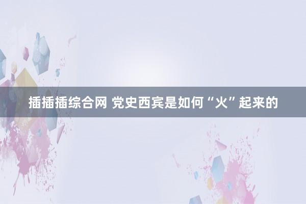 插插插综合网 党史西宾是如何“火”起来的