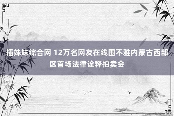 插妹妹综合网 12万名网友在线围不雅内蒙古西部区首场法律诠释拍卖会